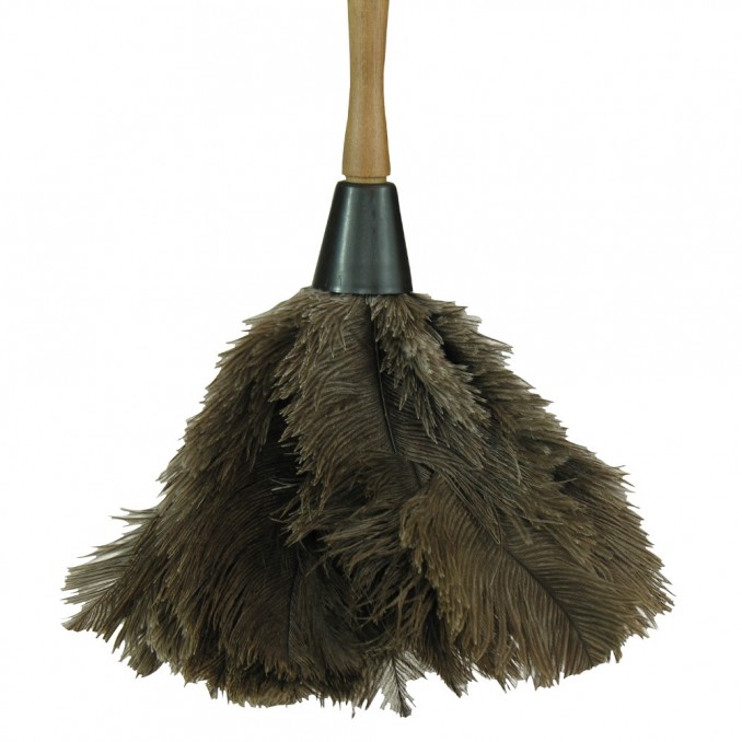 Ostrich Feather Duster